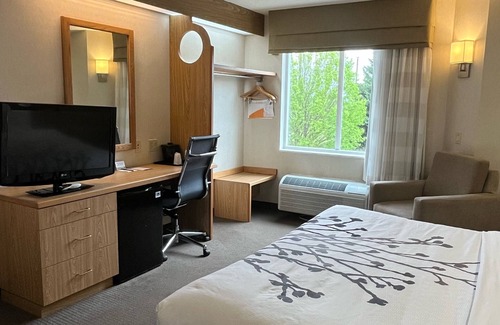 Lynchburg Hotel | Sleep Inn Lynchburg - University Area & Hwy 460
