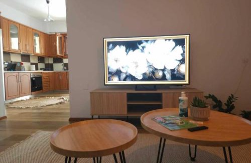 Sparta Apartamento | Spartan Townhouse Apt 4 Spartan Spirit