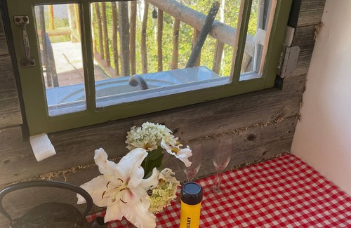 Hepburn Cabina | Spectacular Rustic & Cozy Cabin, (built for 2) running water, toilet and shower!