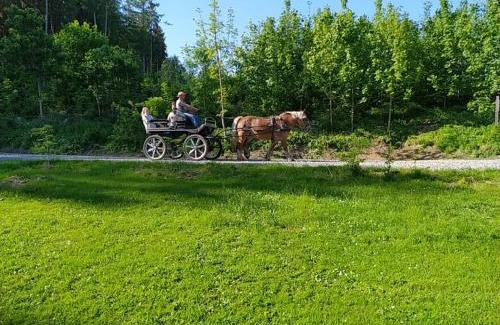 Vogt Apartamento | Spehnerhof