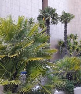 Ceriale Apartamento | Spiaggia Serena - con giardino e box a 10 mt dal mare