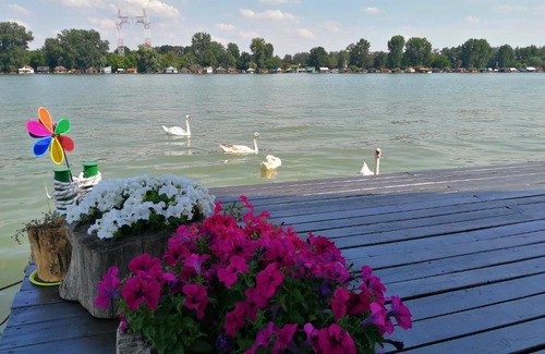 Novi Beograd Casa | Splav Different life