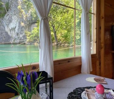 Bajina Basta Apartamento | Splav Wake at the lake