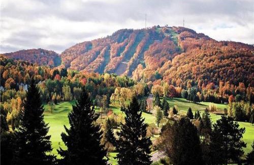 Bromont Apartamento | Splendid Mountain View Condo with Pool & BBQ- Ski, MTB, Cycling, Golf, Telework!