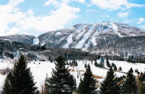 Bromont Apartamento | Splendid Mountain View Condo with Pool & BBQ- Ski, MTB, Cycling, Golf, Telework!