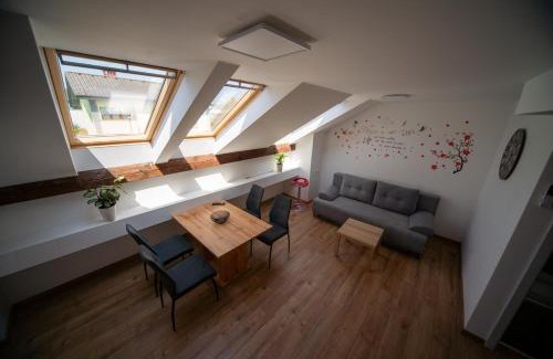 Radovljica Apartamento | Sport apartments