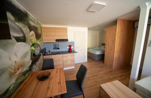 Radovljica Apartamento | Sport apartments