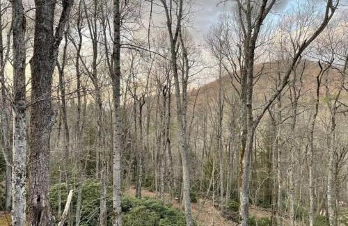 Boone Casa | Sprawling Blowing Rock Escape with Theater and Hot Tub
