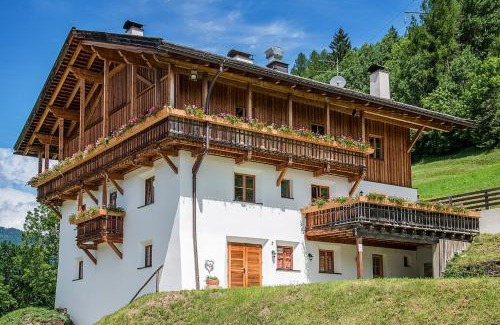 Campo di Trens Apartamento | Sprechenstein