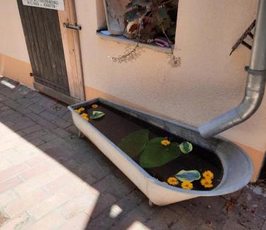 Lubben Apartamento | Spreewaldunterkunft Buchecker