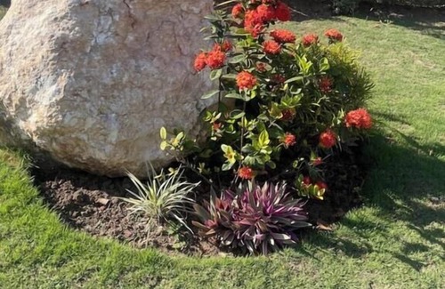 Caribbean Estates Apartamento | Spring Garden A Cozy Nook near Portmore & Kingston