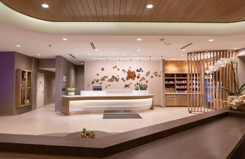 Cedar Park Hotel | SpringHill Suites by Marriott Austin Cedar Park