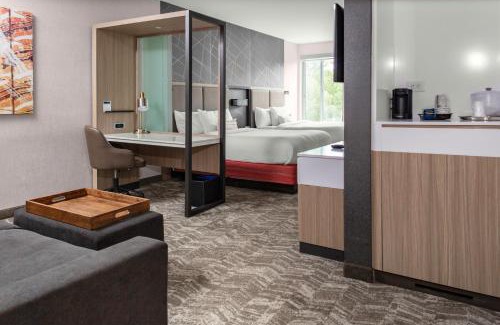 Alpharetta Hotel | SpringHill Suites Atlanta Alpharetta/Roswell