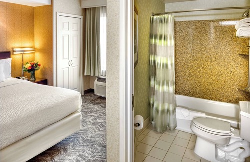 Downtown Salt Lake City Hotel | SpringHill Suites by Marriott Salt Lake City Downtown