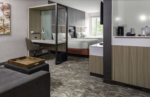 Alpharetta Hotel | SpringHill Suites by Marriott Atlanta Alpharetta/Roswell