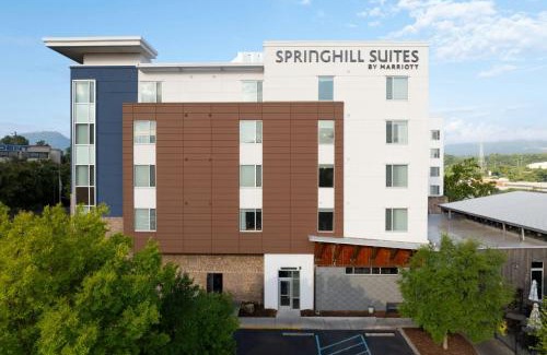 Downtown Chattanooga Hotel | SpringHill Suites by Marriott Downtown Chattanooga/Cameron Harbor