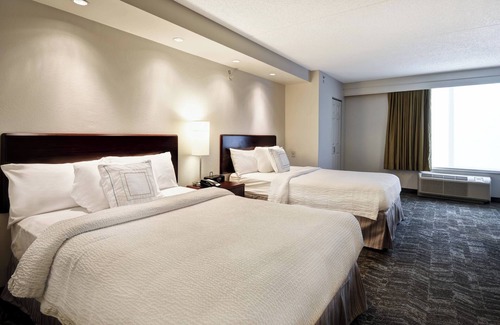 Louisville Hotel | Springhill Suites by Marriott Louisville Airport