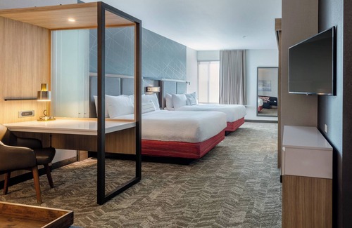 Columbia Hotel | SpringHill Suites by Marriott Columbia