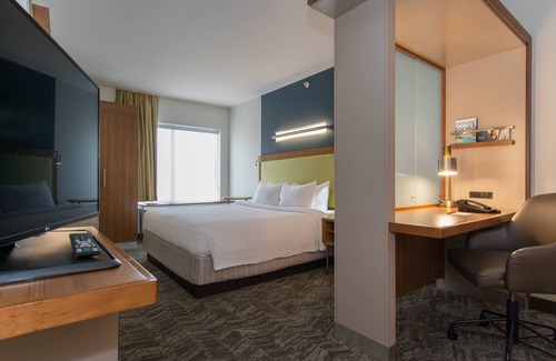 The Vista Hotel | SpringHill Suites by Marriott Columbia Downtown/The Vista
