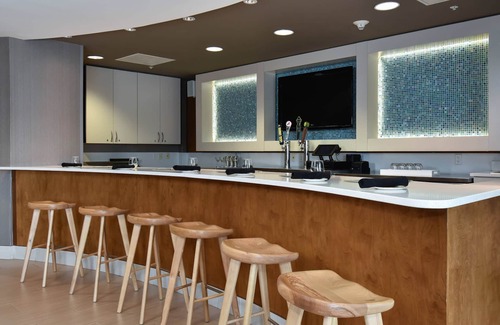 The Vista Hotel | SpringHill Suites by Marriott Columbia Downtown/The Vista