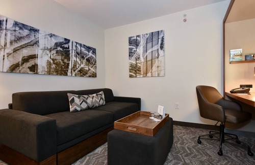 The Vista Hotel | SpringHill Suites by Marriott Columbia Downtown/The Vista