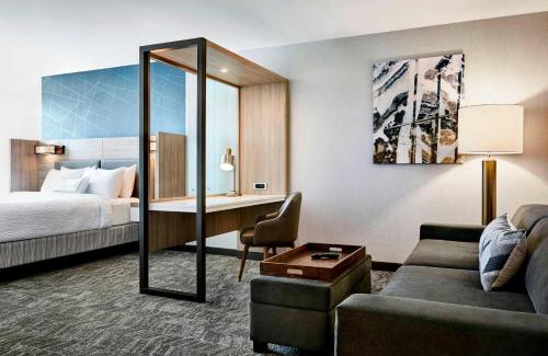 Locust Grove Hotel | SpringHill Suites by Marriott Locust Grove