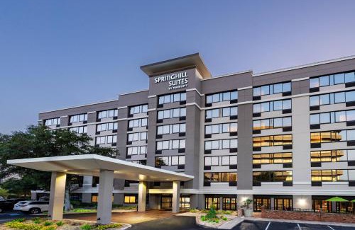 Astrodome Hotel | SpringHill Suites Houston Medical Center/NRG Park