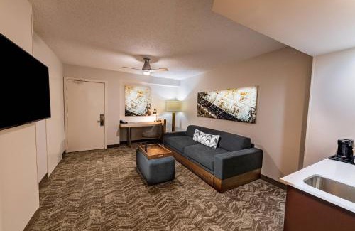 Astrodome Hotel | SpringHill Suites Houston Medical Center/NRG Park