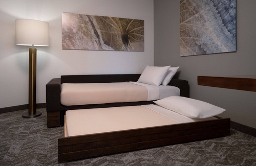 Florida Central Atlantic Coast Hotel | SpringHill Suites Orlando at FLAMINGO CROSSINGS® Town Center/Western Entrance