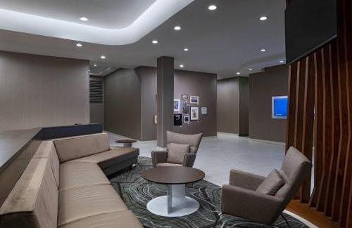 Brazos Hotel | SpringHill Suites Waco