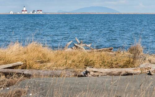 Sequim Casa | Sq Dungeness Bungalow 271