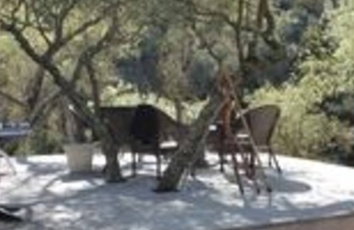 Penn Valley Casa | ¡Sitio de Squirrel Creek!