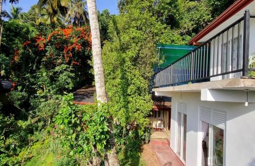 Anniwatta Hotel | Squirrel's Nest