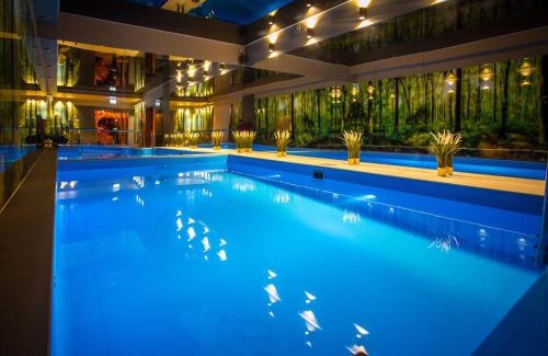 Istebna Hotel | Srebrny Bucznik Wellness & Restaurant