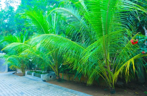 Kathaluwa Apartamento | Sri Lankan Villa