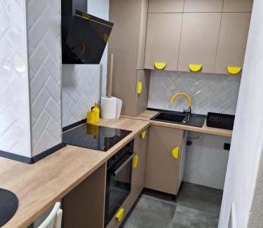 Ocna Mures Apartamento | Ssalamandra home's