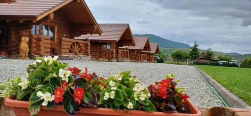 Gura Raului Cabina | Stâna Boierilor