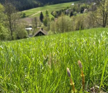 Stare Mesto Cabina | Stříbrná chaloupka Na Vyhlídce
