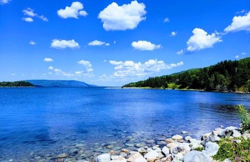 Saint Anns Hotel | St Ann's Motel & Cottage