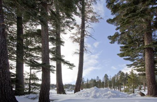Mammoth Lakes Apartamento | St Anton Condos with Rec Center