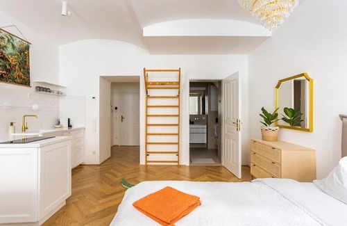 Schottenfeld Apartamento | St. Elizabeth 1