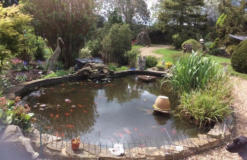 Frognall Casa | St Nicholas House