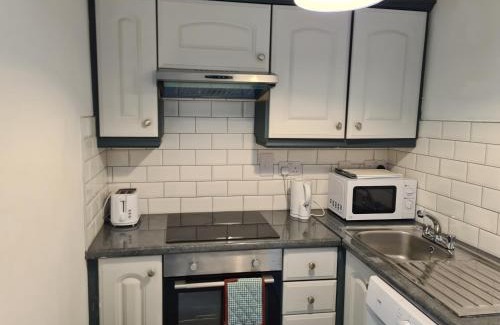 Galway City Centre Apartamento | St Patricks Avenue Apartment, H91A4W7