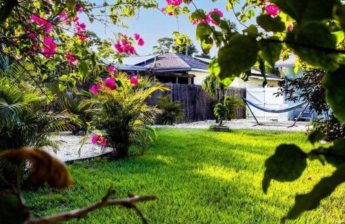 St. Petersburg - Clearwater Casa | St Pete beach house backyard Jungle Oasis!