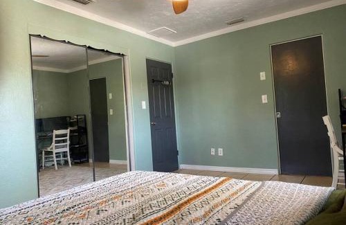 St. Petersburg - Clearwater Casa | St Pete beach house backyard Jungle Oasis!