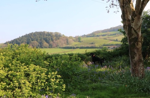 Alcombe Cabaña | Stables Cottage, Nr Minehead
