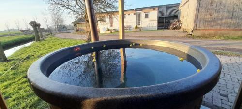 Sneek Otro | Stacaravan op de paardenboerderij Sneek