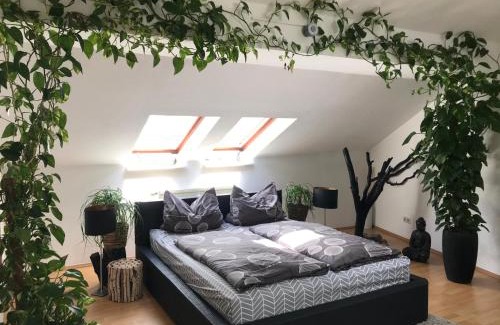 Cottbus Apartamento | Stadtdschungel FeWo mit Balkon