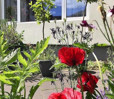 Lutzel Apartamento | Stadtoase Koblenz