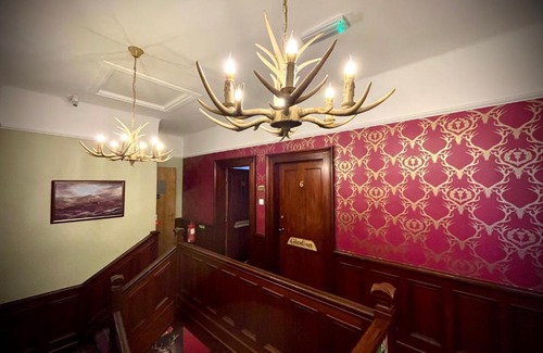 Elgin Casa | Stag and Barrel